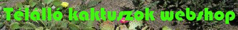 Kaktusz webshop